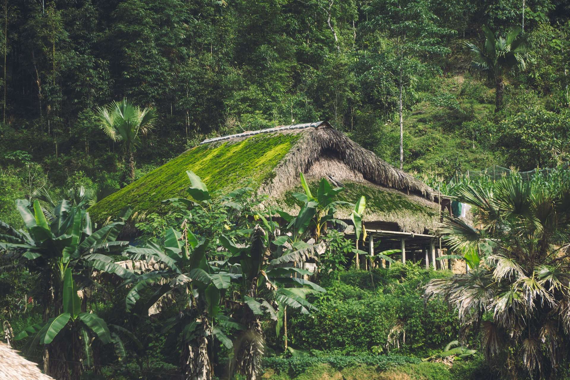 bản Xà Phìn Hà Giang