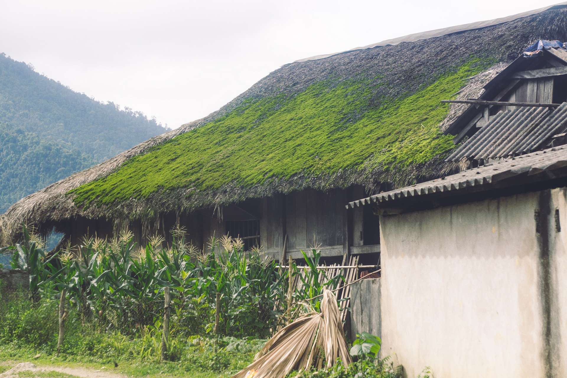 bản Xà Phìn Hà Giang