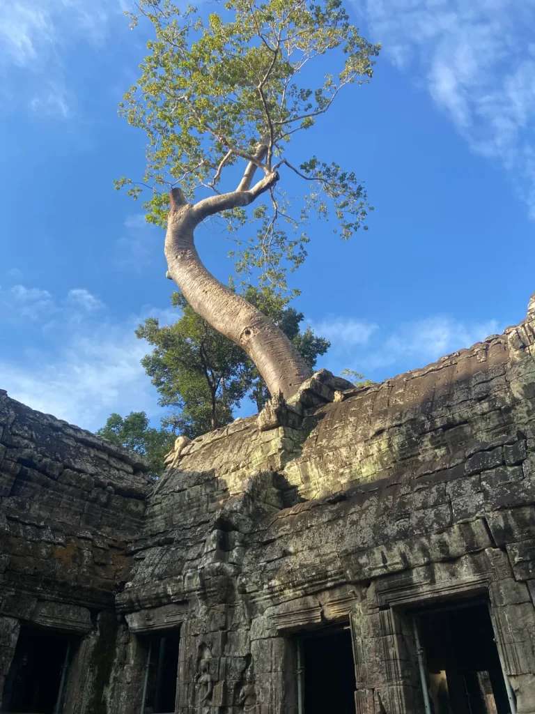 Đền ở Angkor Ta Prohm