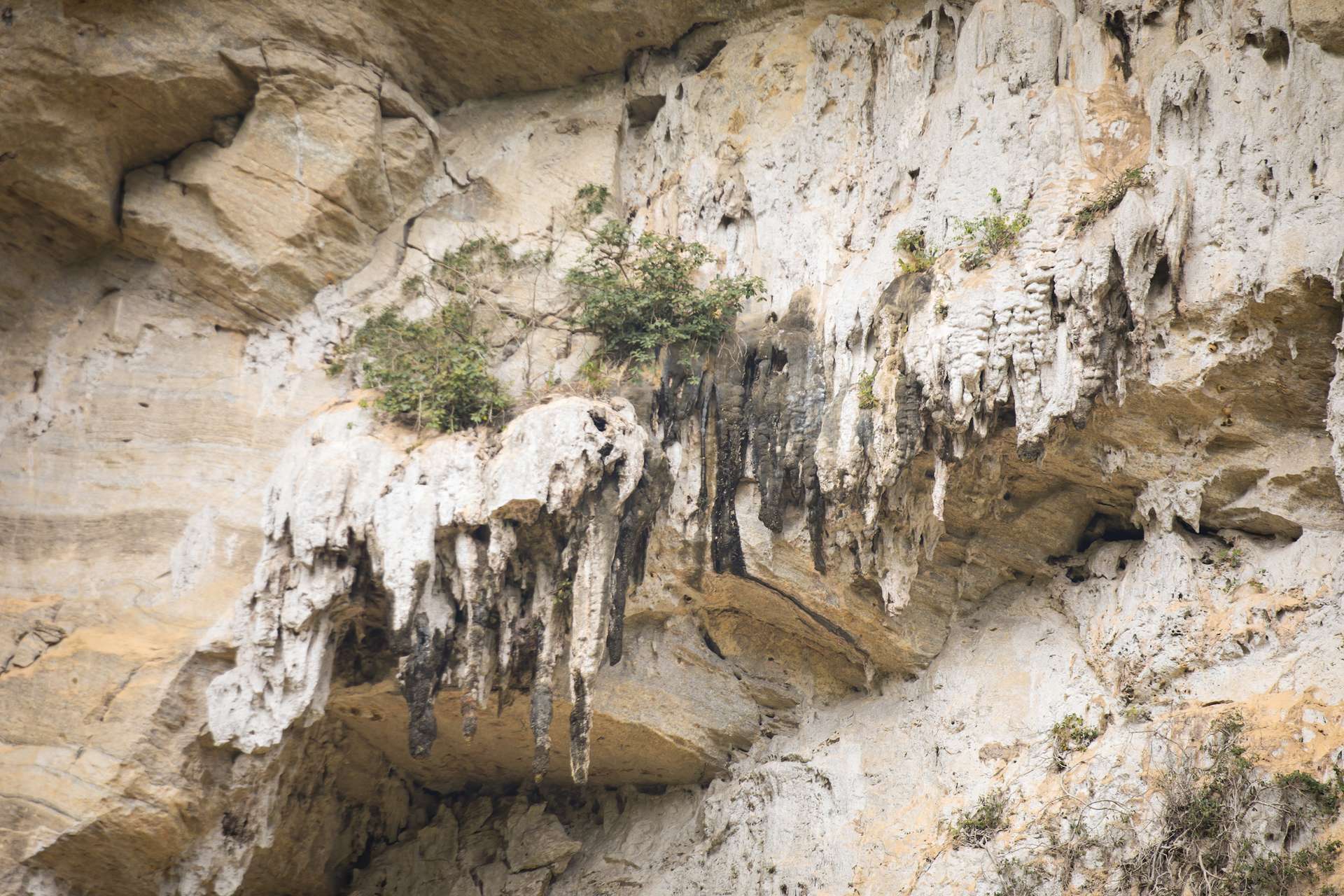 Camping hang Tiên Lào Cai