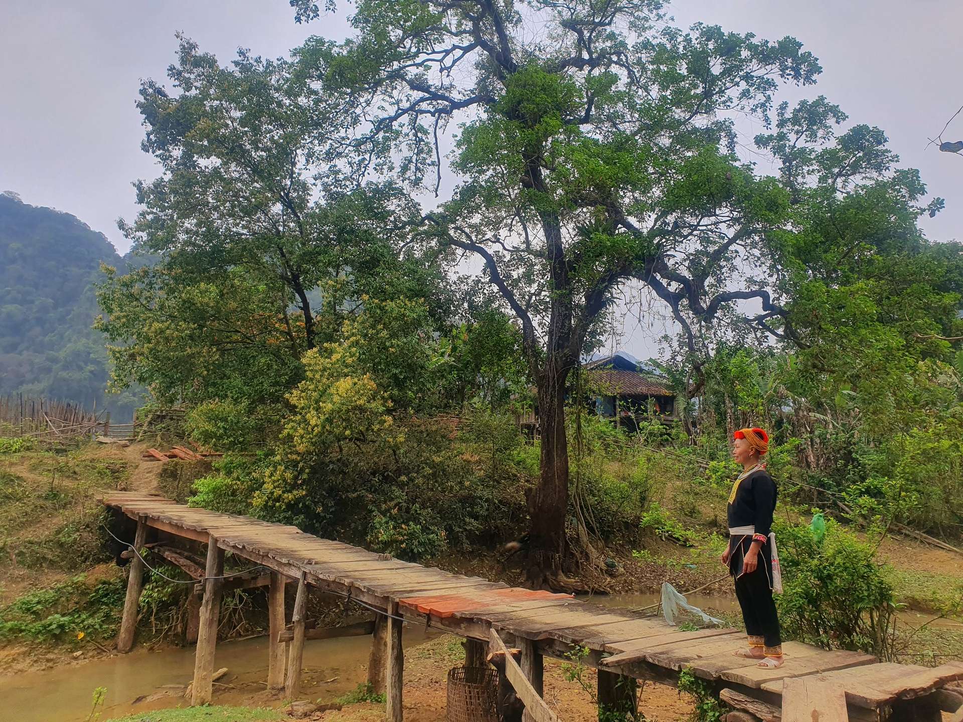 cao nguyên đồng lâm