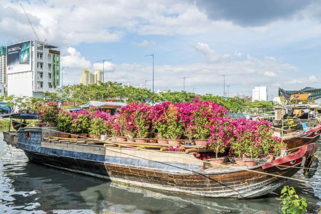 chợ hoa bến Bình Đông