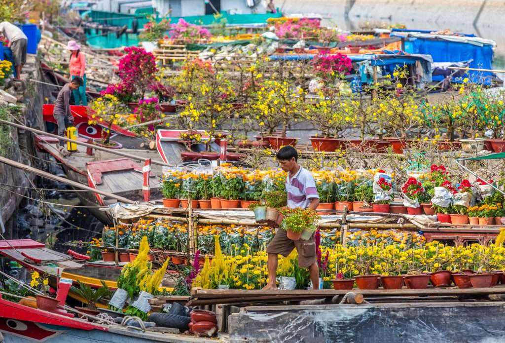 chợ hoa bến Bình Đông