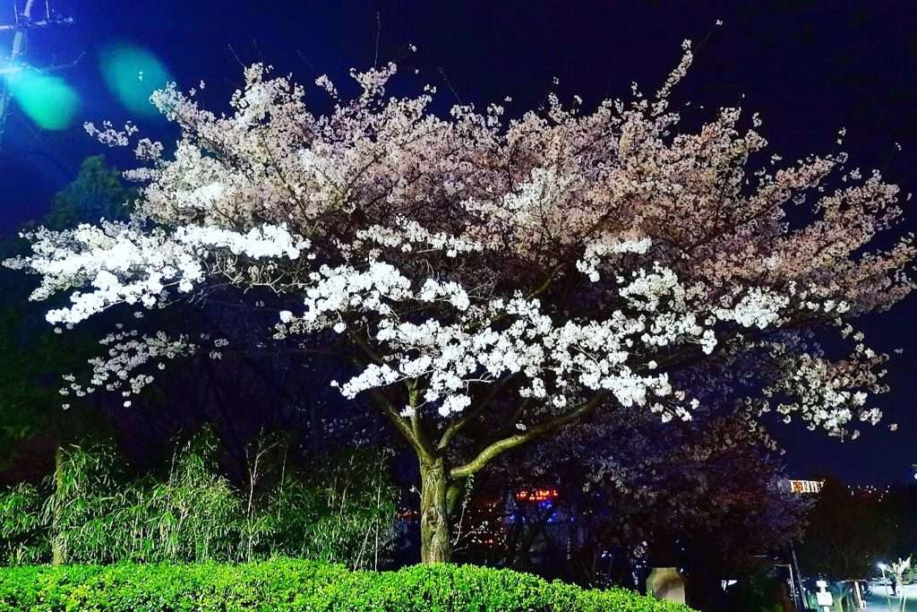 chơi gì ở Busan