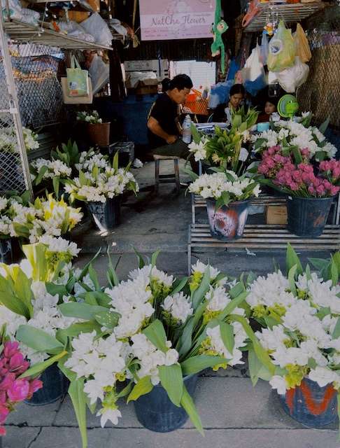 chơi gì ở Chiang Mai