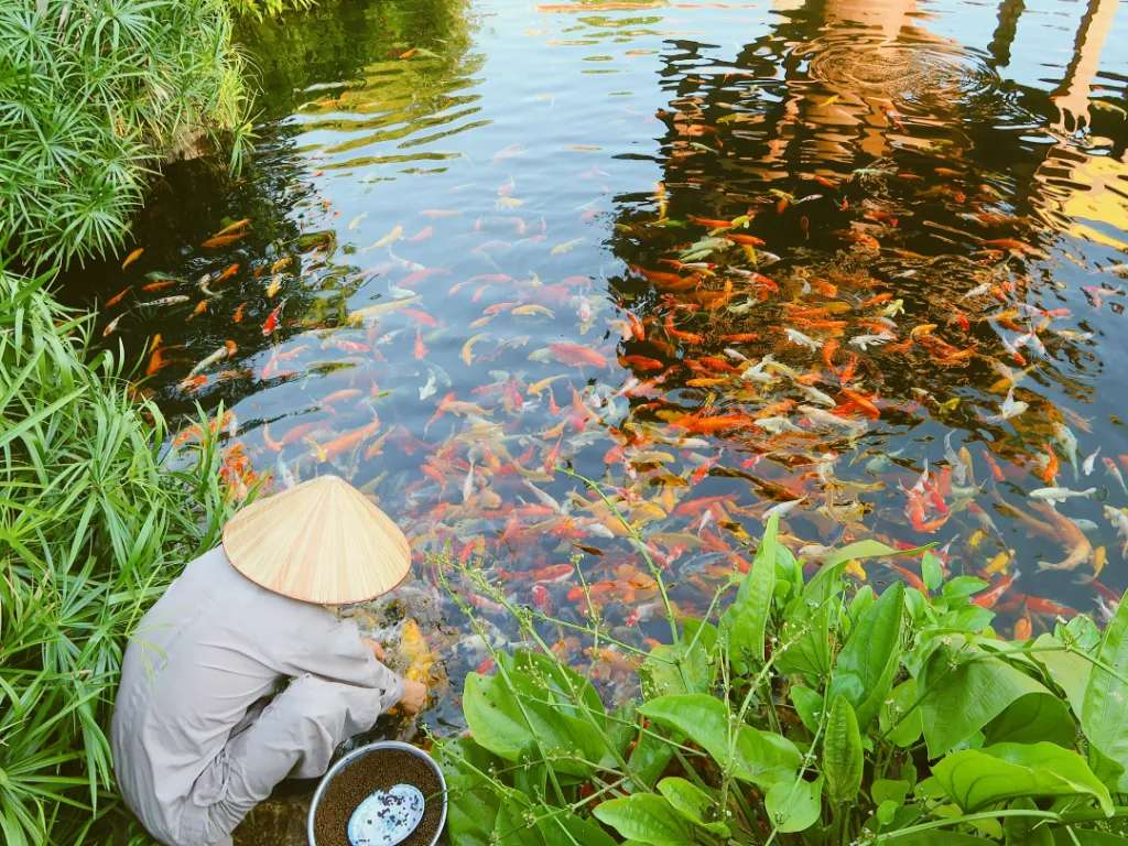 Bể cá tại chùa Nam Thiên Nhất Trụ