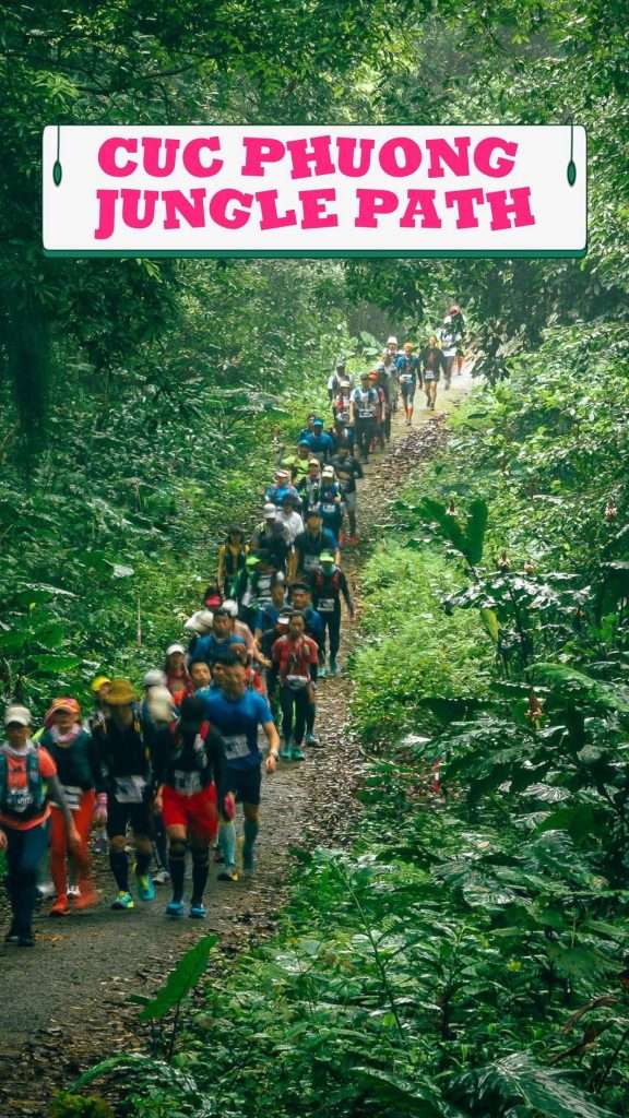Cuc Phuong Jungle Path - Một cuộc chạy bền xuyên lõi rừng rực rỡ hệt như tấm poster phim