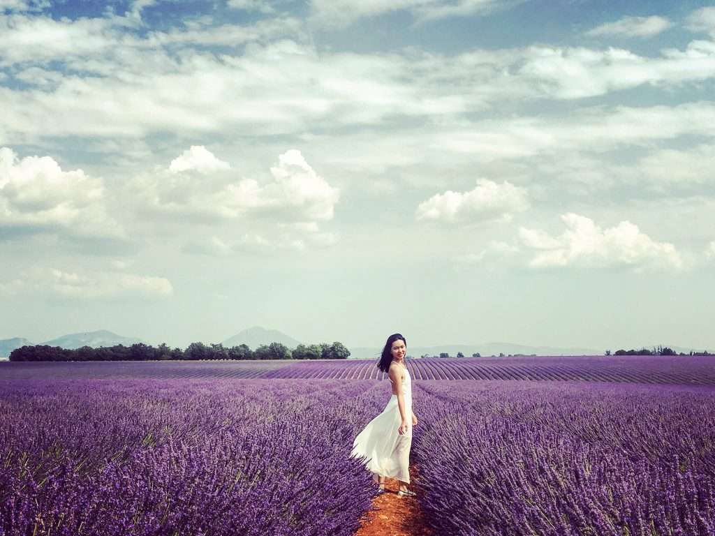 cung đường hoa oải hương Provence Pháp