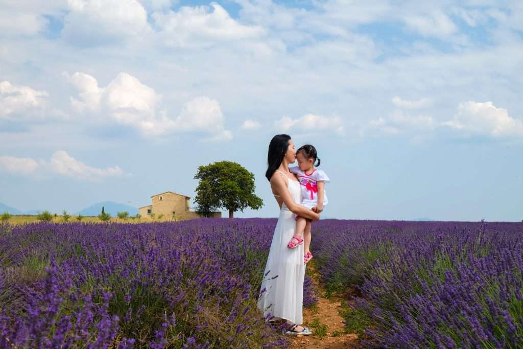 cung đường hoa oải hương Provence Pháp