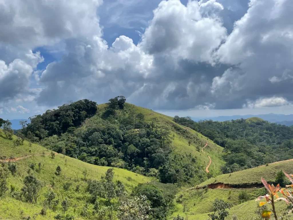 Những ngày tháng 10 nắng vàng ươm - Trekking miền Nam