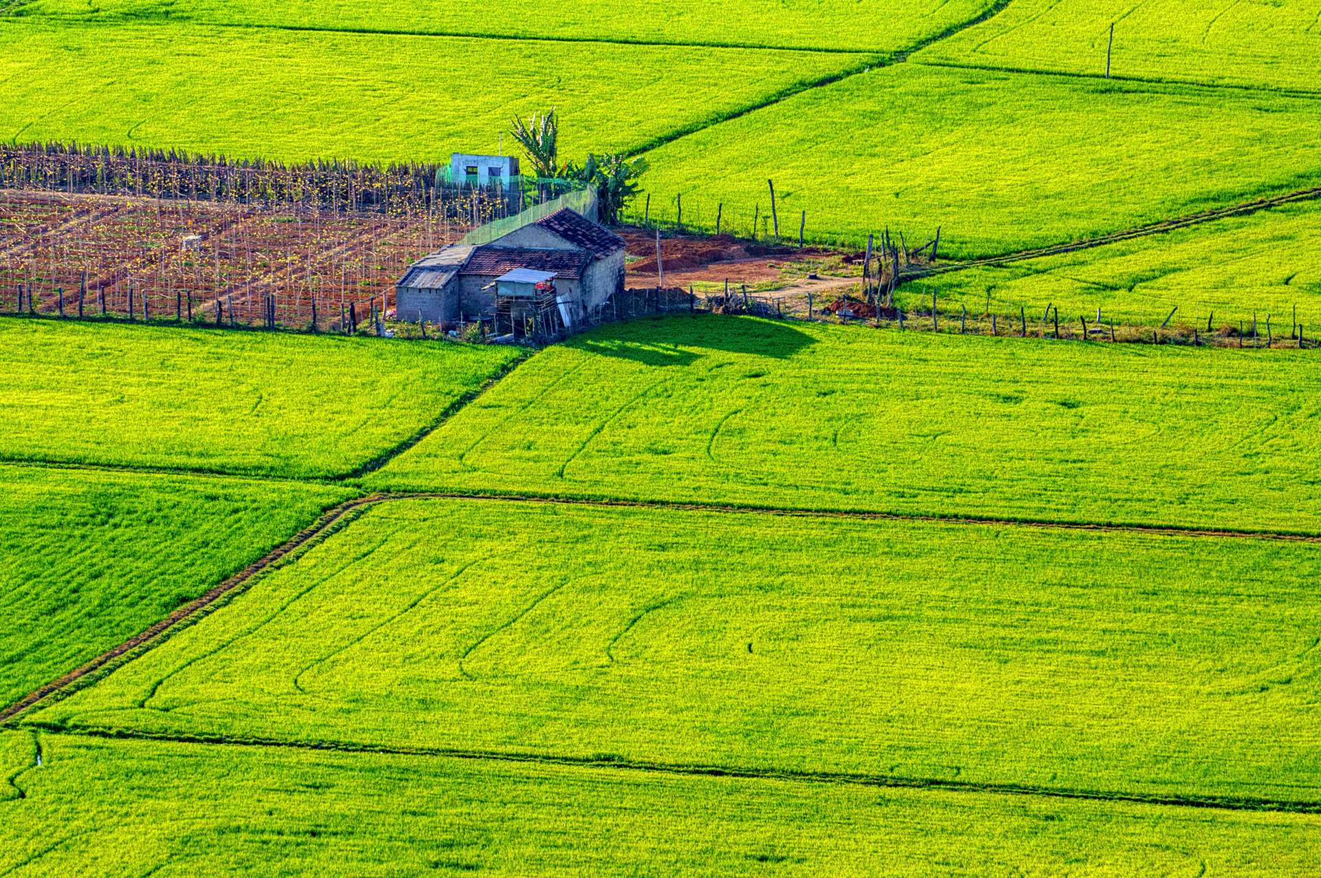 đầm nại ninh thuận