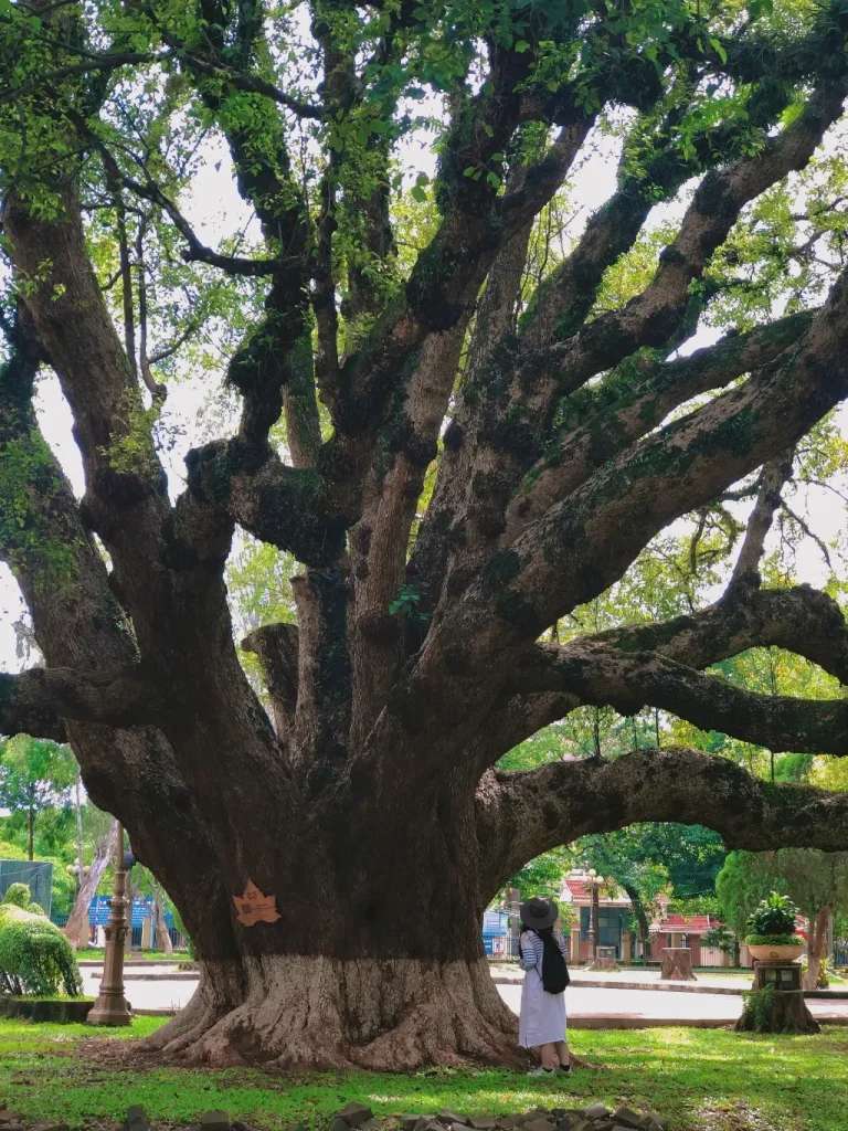 Địa điểm check-in Tây Nguyên