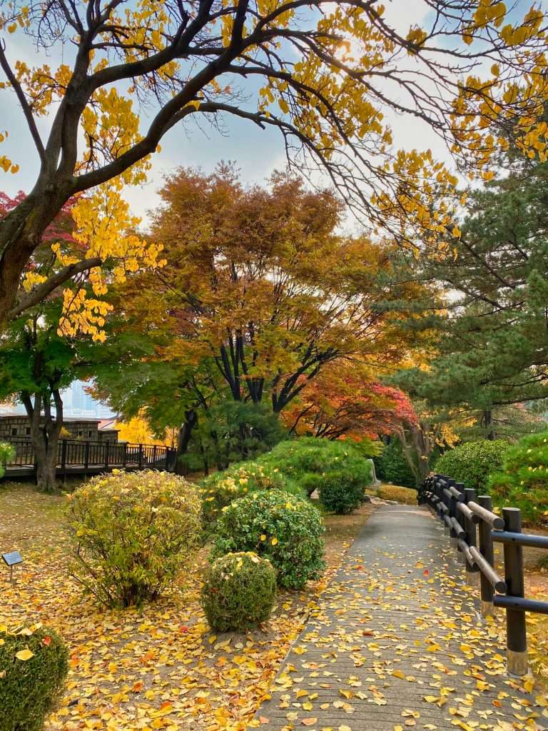 công viên Yeouido Hangang