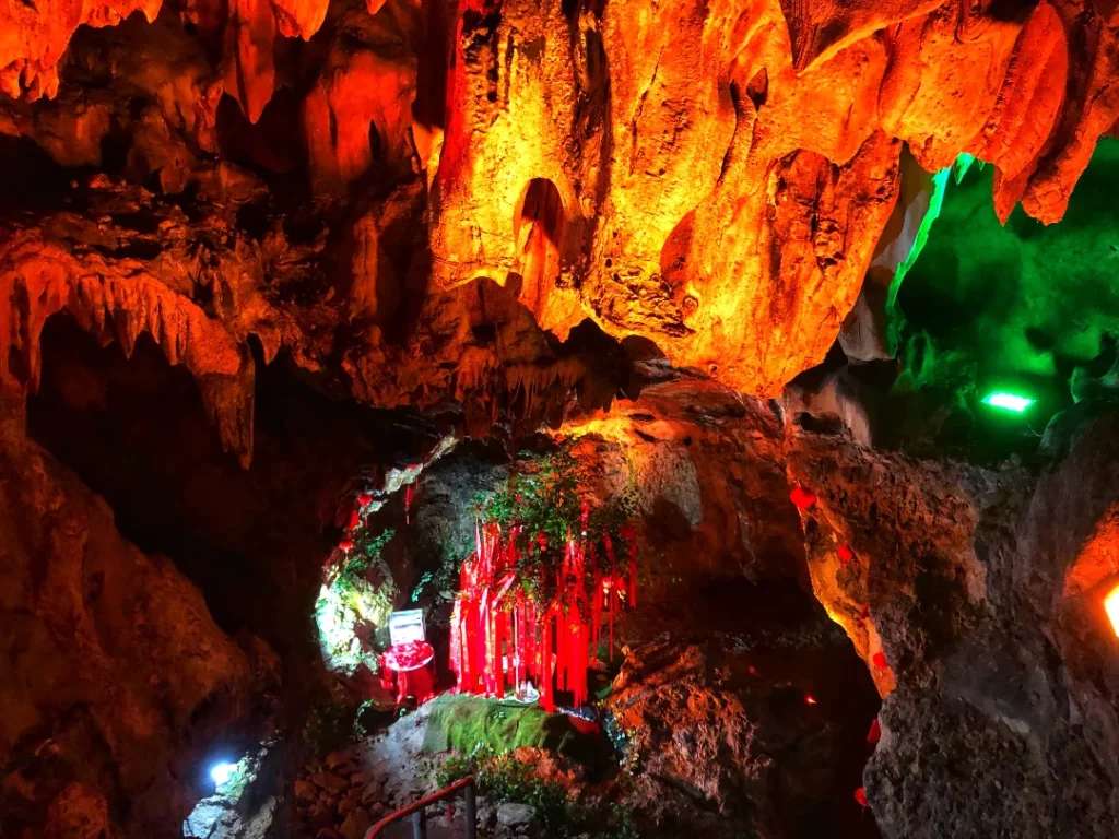 Cây thần bên trong hang động Chùa Tiên - Thủy Cung; nơi đây có nước nhiễu ra liên tục từ thạch nhũ phía trên