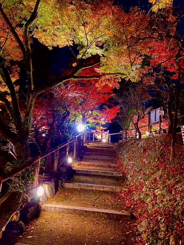 Những bậc thang xuống lối phía dưới của khu vườn - Địa điểm ngắm lá đỏ ở Kyoto về đêm