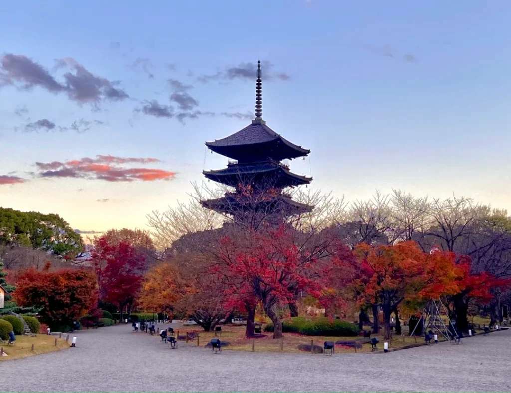 địa điểm ngắm lá đỏ ở Kyoto về đêm