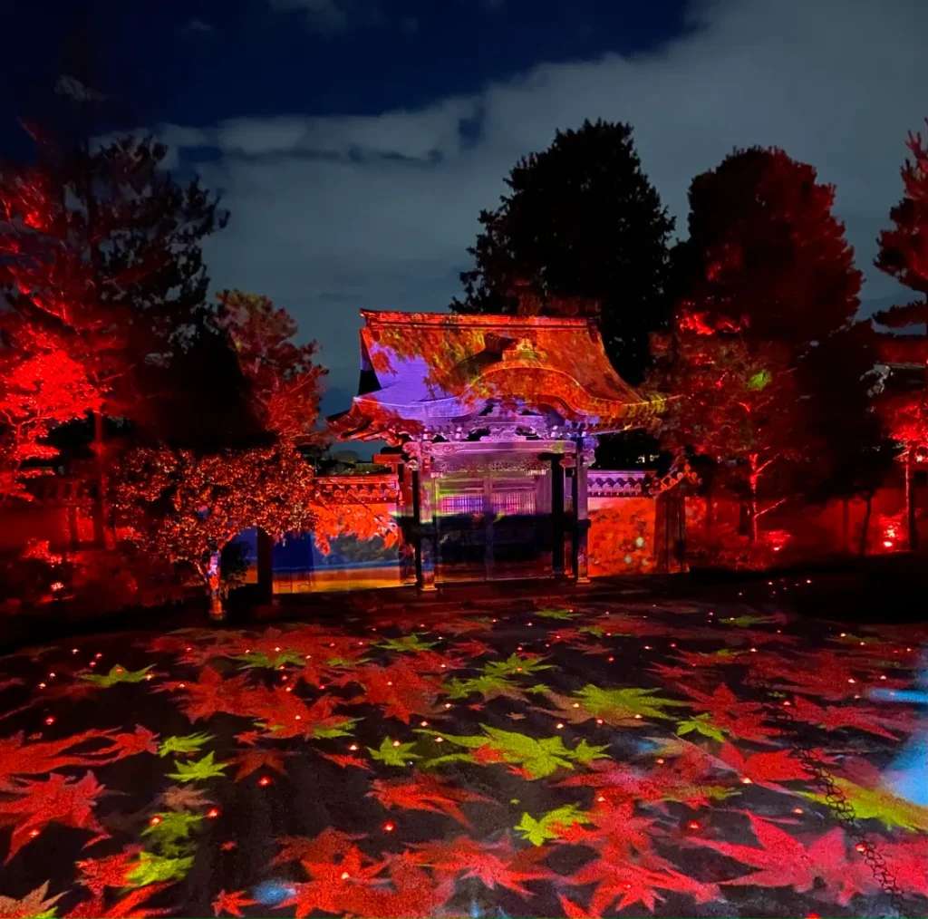 Một góc khác nhìn từ phía ngoài - Địa điểm ngắm lá đỏ ở Kyoto về đêm 