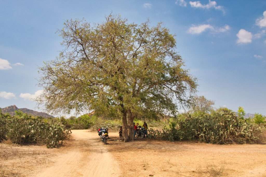 đồi cát Thành Tín