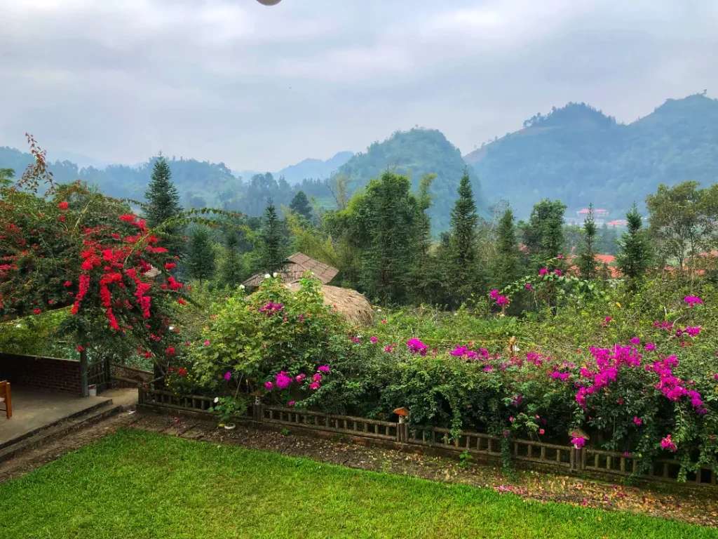 View nhìn thiên nhiên từ So H'Mong Homestay