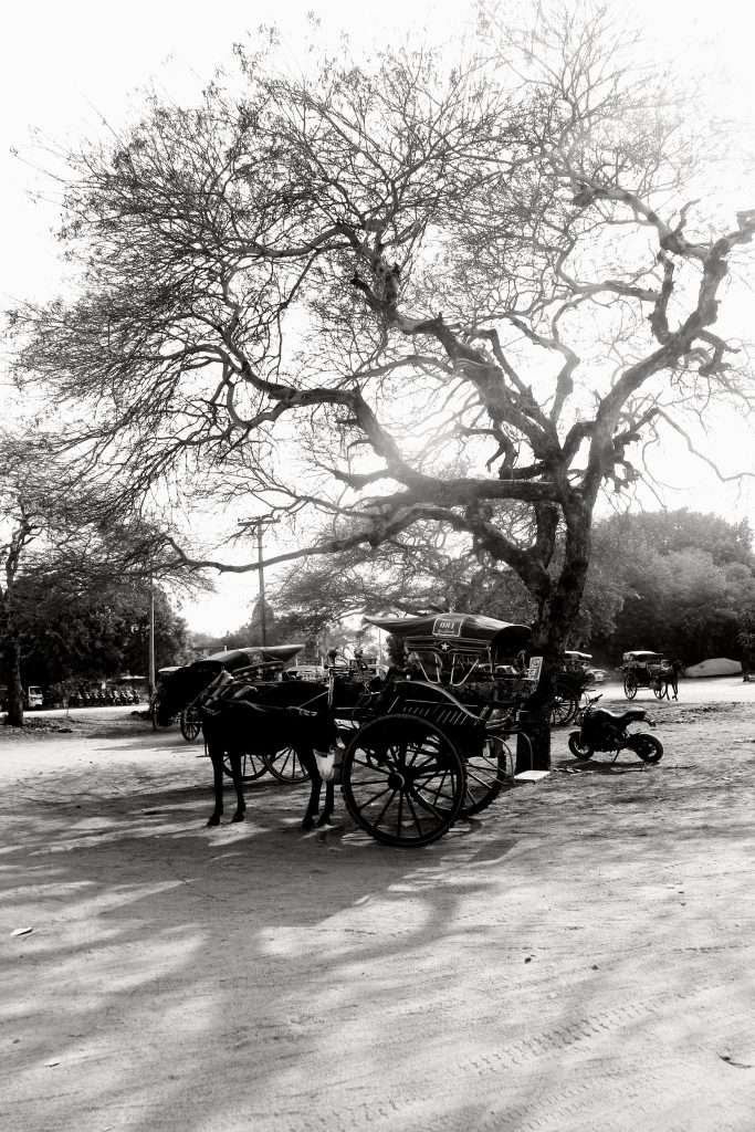 du lịch Burma