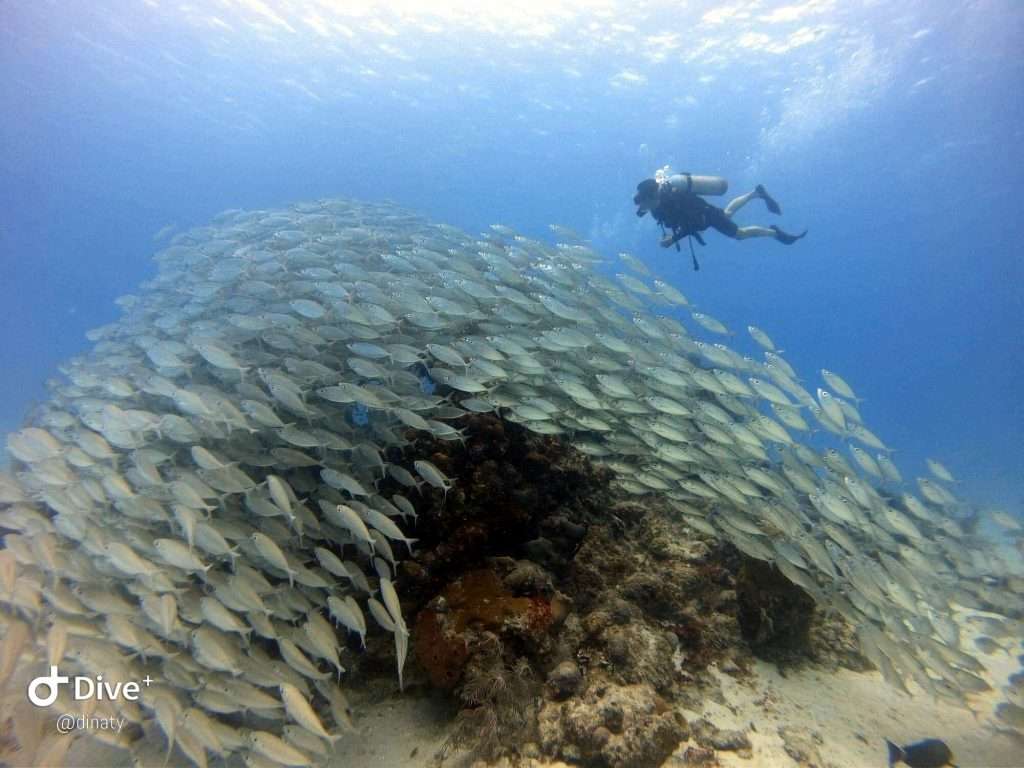 du lịch Colombia