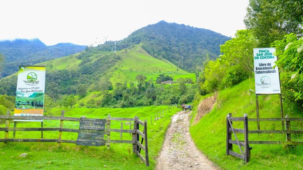 du lịch Colombia