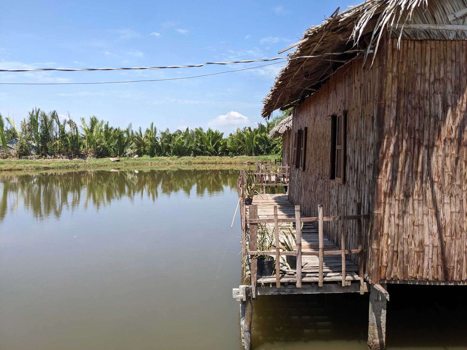 du lịch cồn chim trà vinh