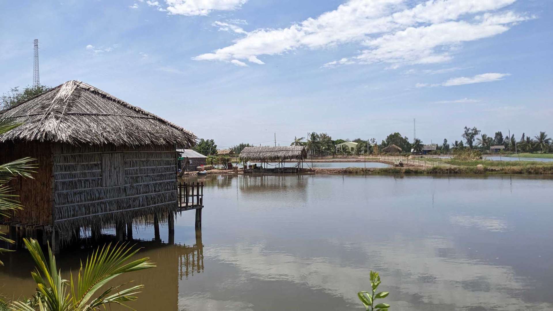 du lịch cồn chim trà vinh