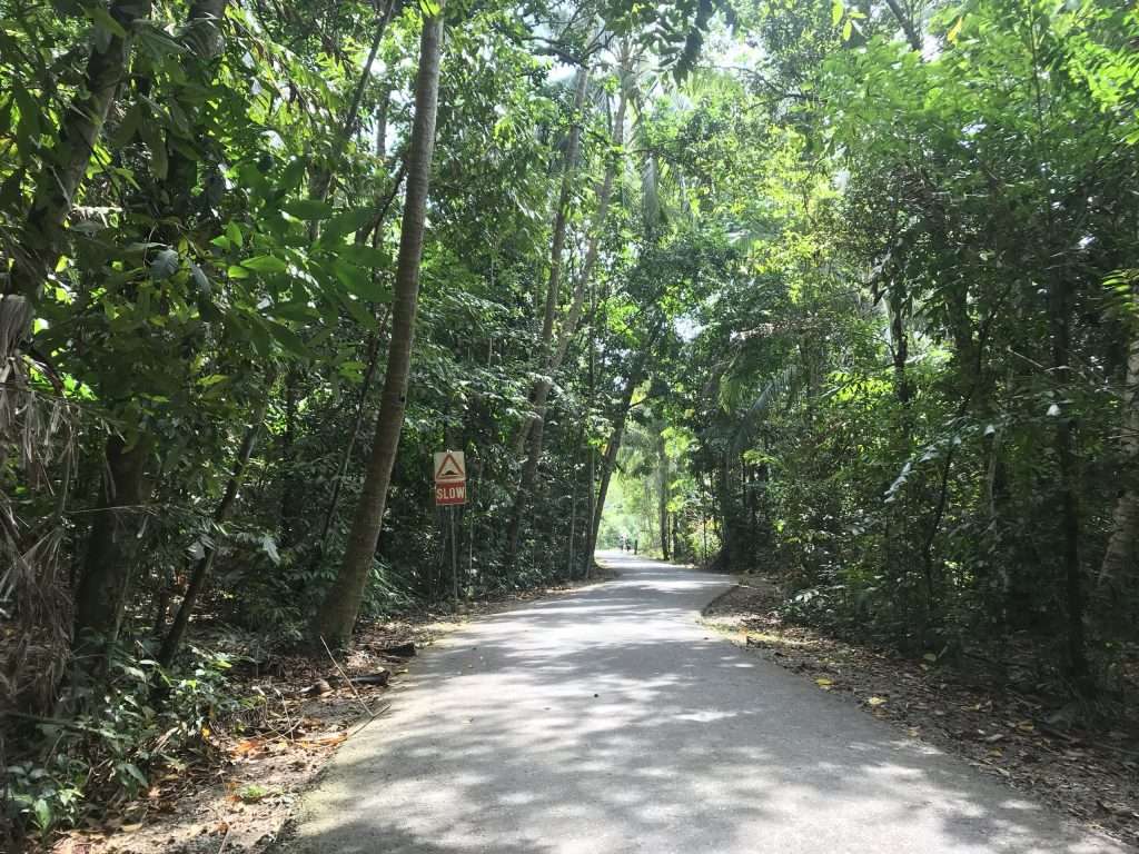 đảo Pulau Ubin