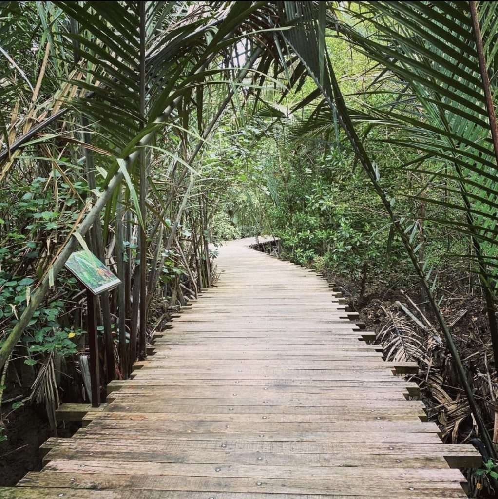 pulau ubin