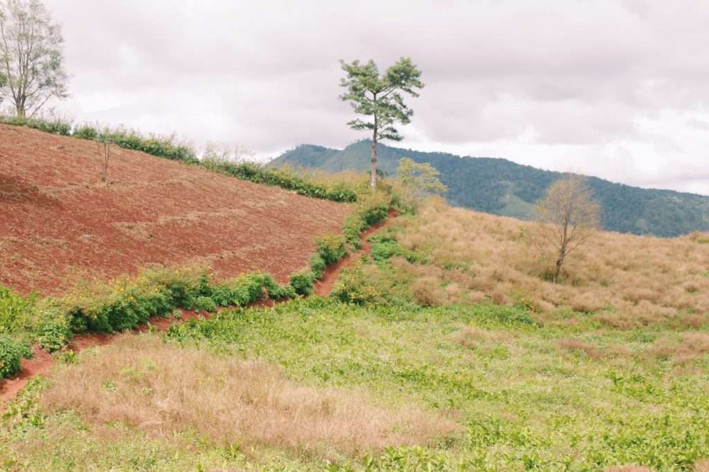 Núi lửa Chư Đăng Ya