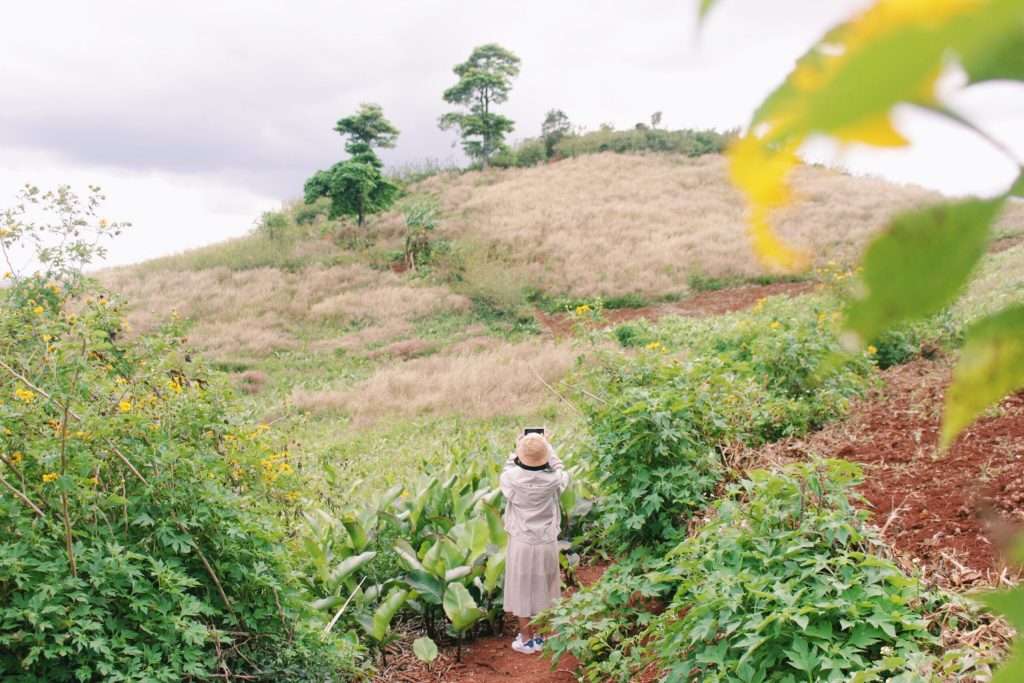 Núi lửa Chư Đăng Ya