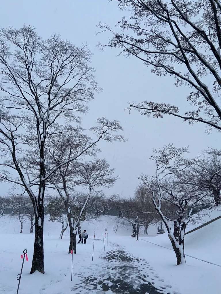 Khung cảnh trông như một bức tranh thủy mặc của công viên vào một chiều đông. Dù chỉ có 2 màu đen trắng buồn tẻ trong khung hình này nhưng mình dường như vẫn nghe được tiếng cười đùa vui vẻ văng vẳng đâu đây của những cậu chàng thiếu niên tham gia vào cuộc chiến tuyết trong khuôn viên