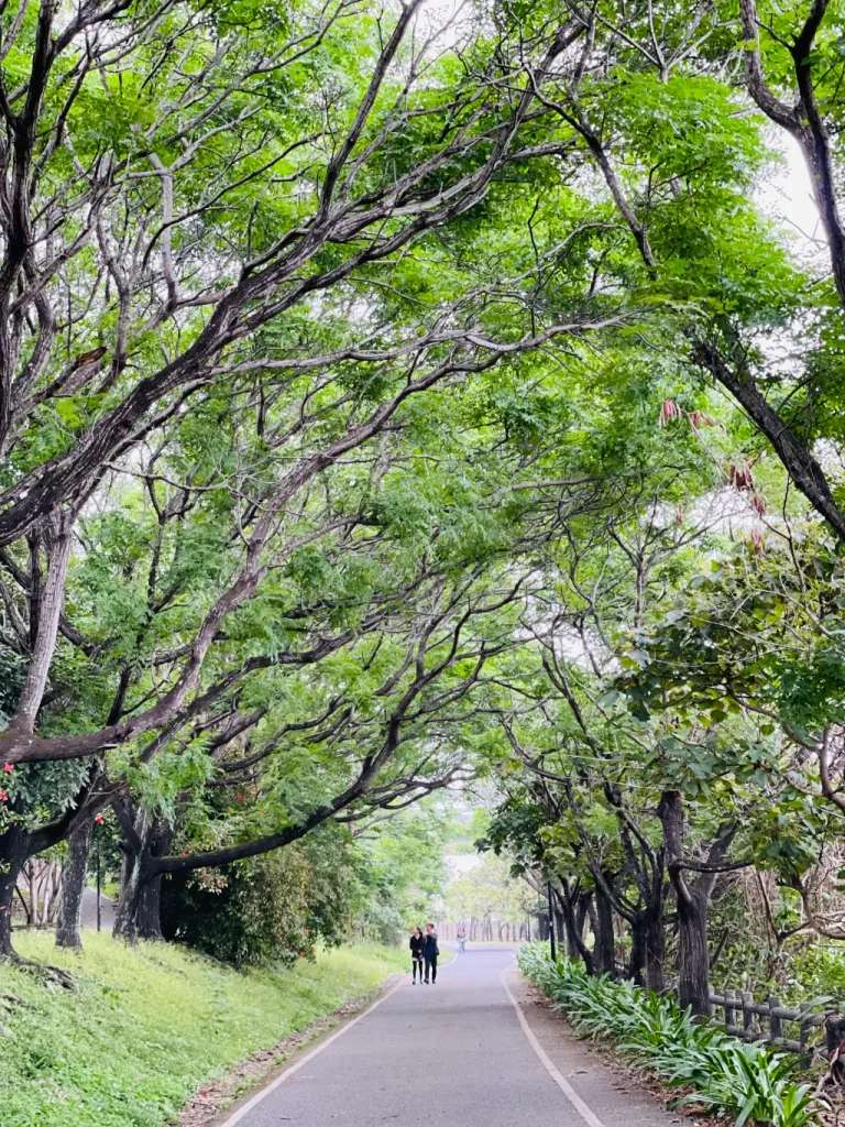 Công viên Niaotashi cũng là một phần của cung đường Two lakes bikeway thu hút nhiều người đạp xe và đi bộ.