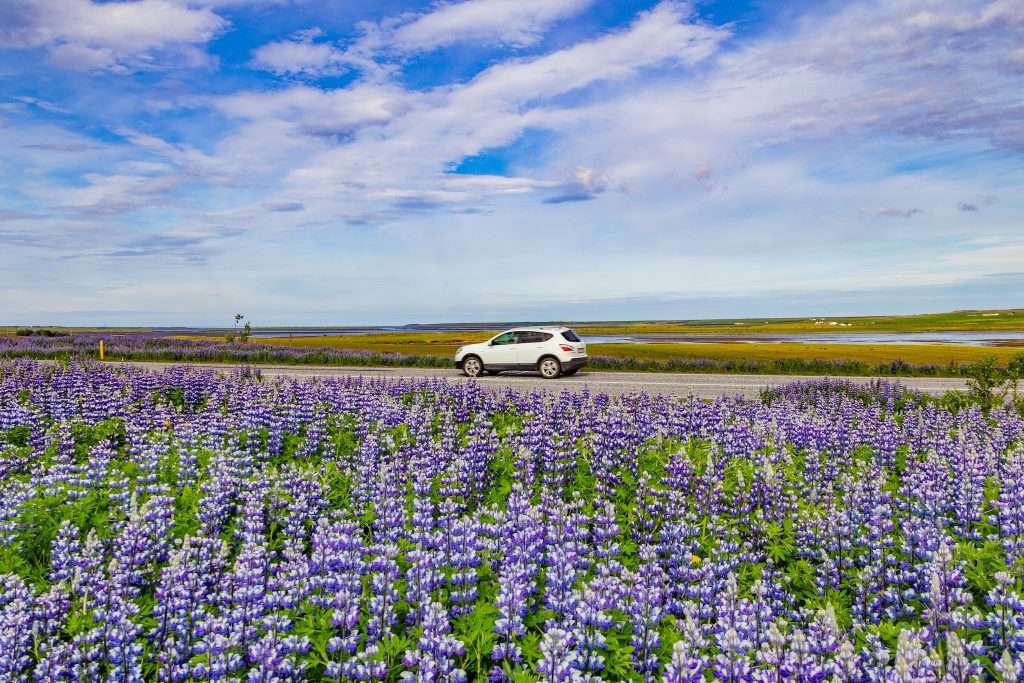 du lịch Iceland