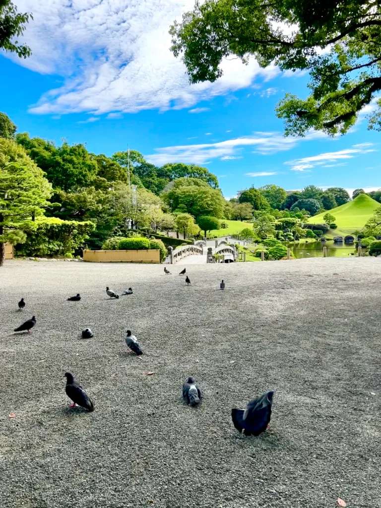 du lịch kumamoto 1 ngày