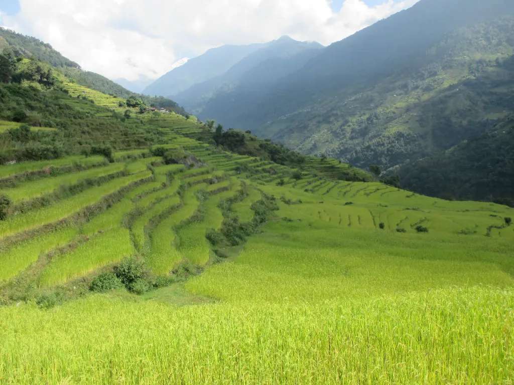 Ruộng bậc thang tuyệt đẹp