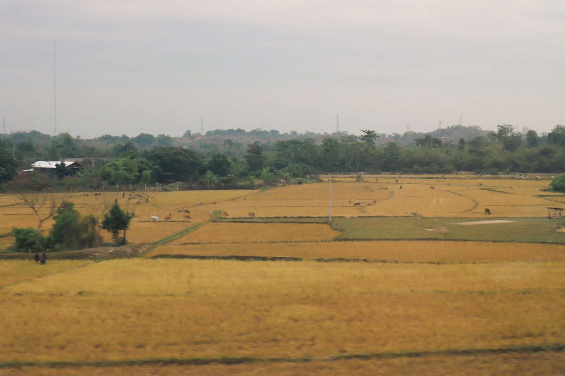 du lịch Luang Prabang Lào