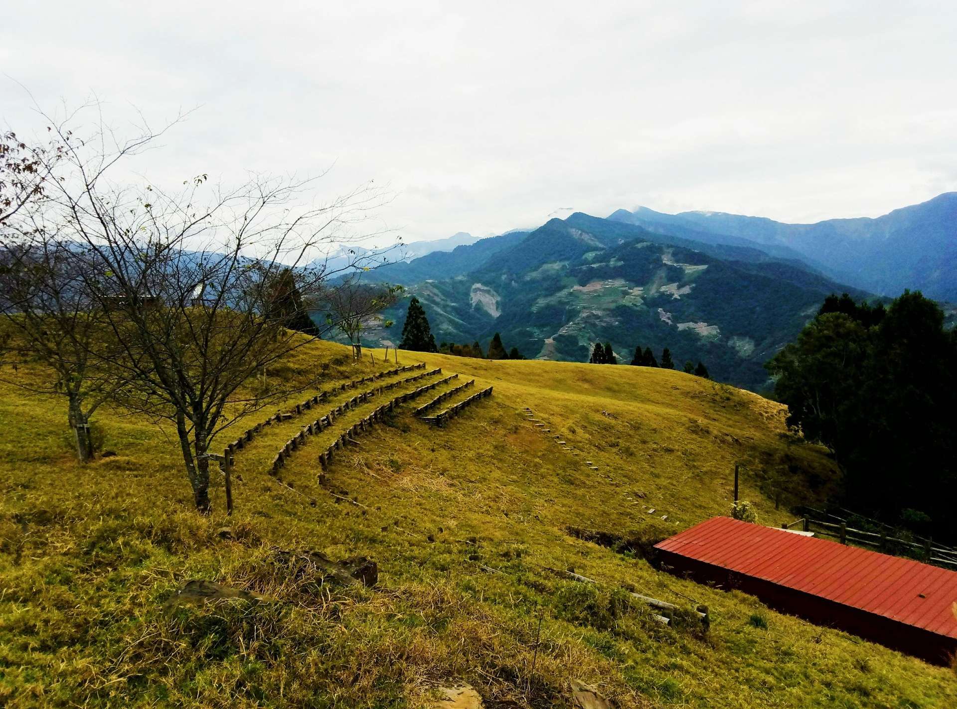 Cingjing farm