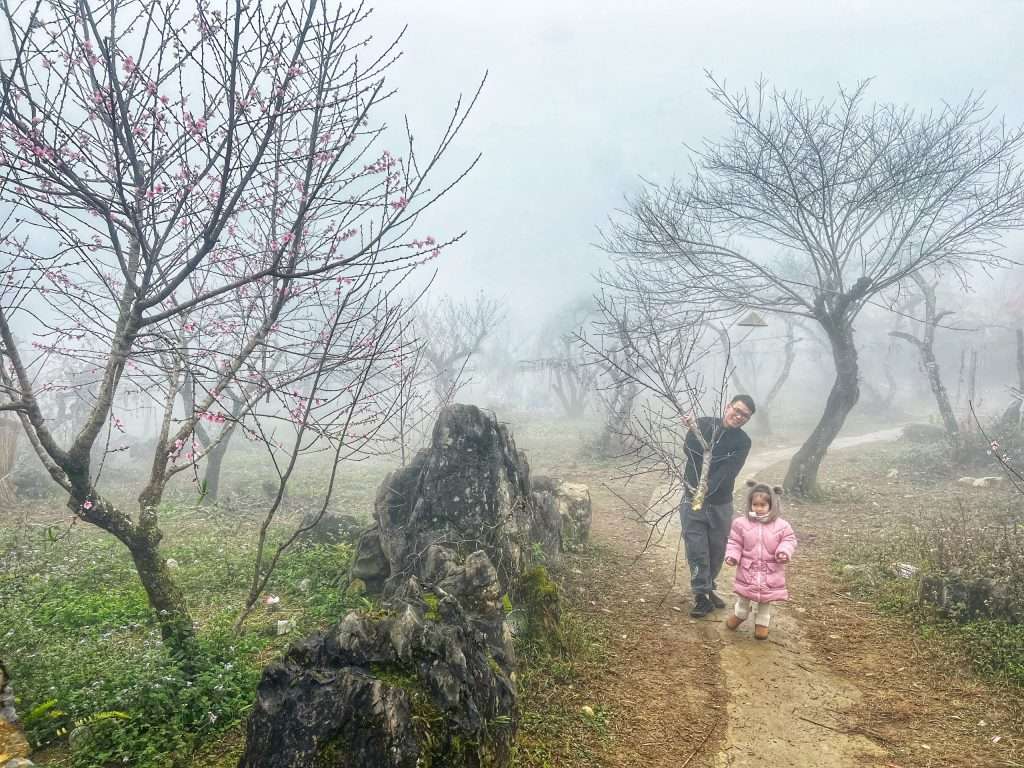 du lịch Pà Cò mùa xuân