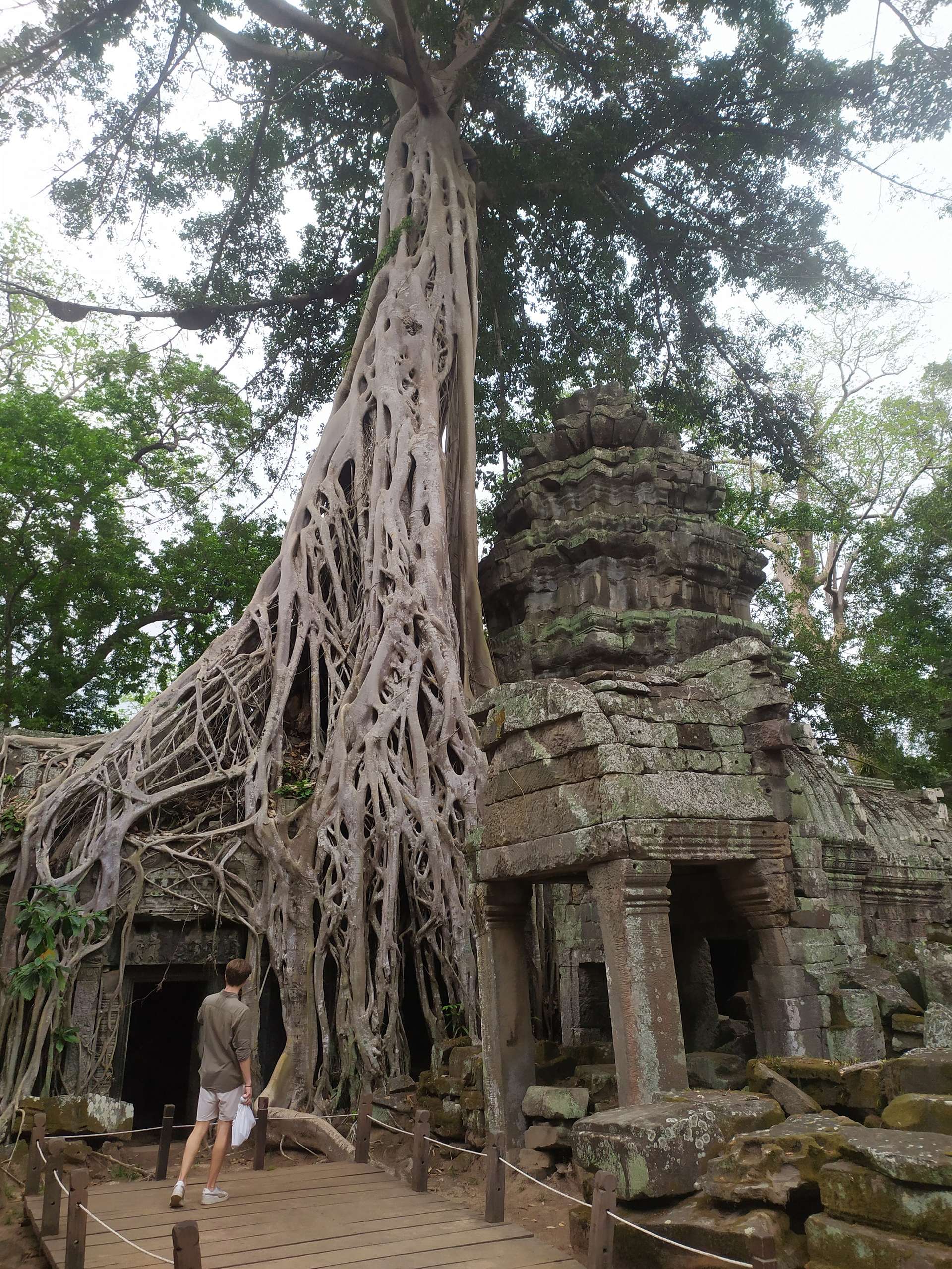 Du lịch Siem Reap tự túc