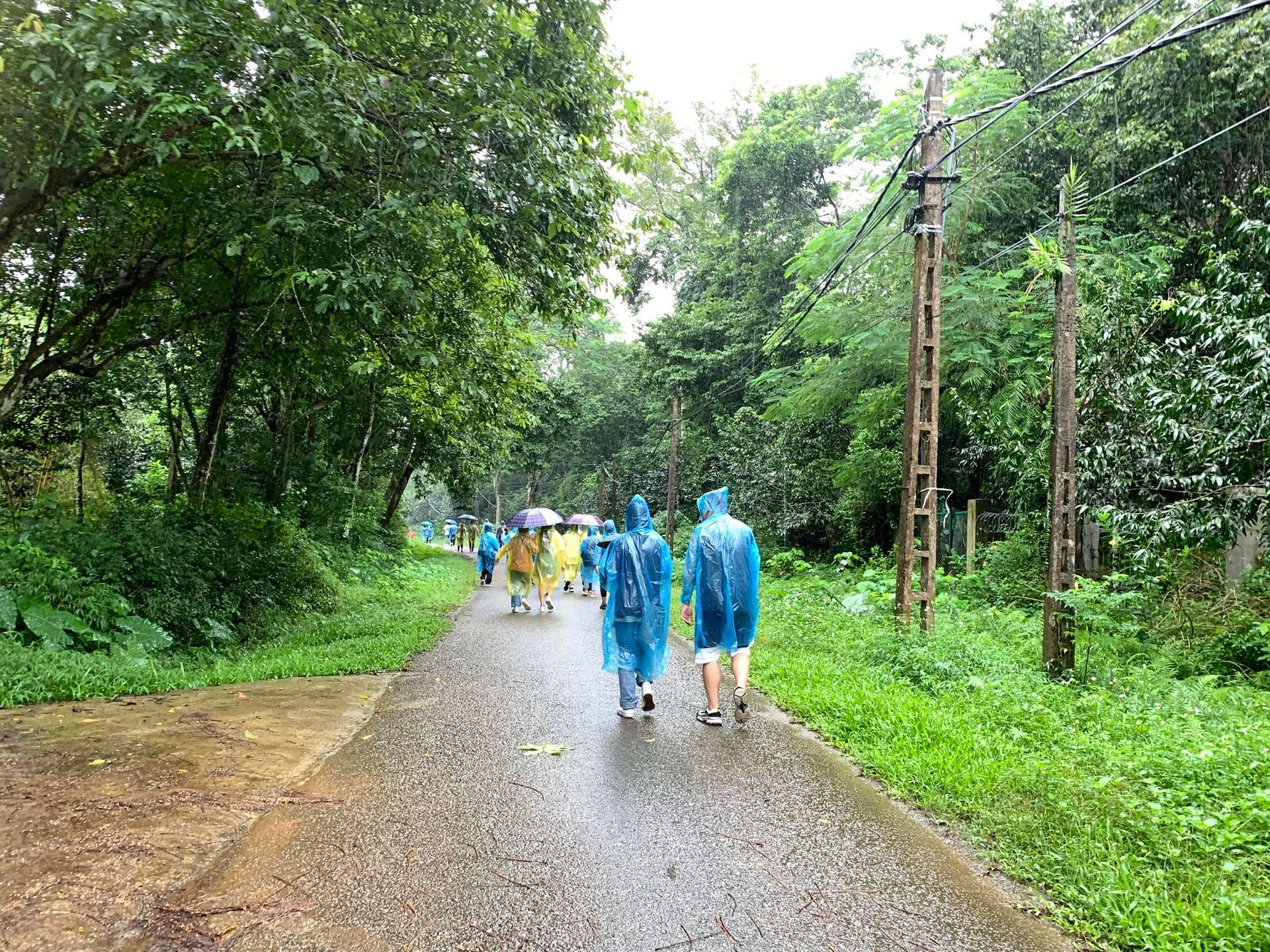 du lịch sinh thái ninh bình