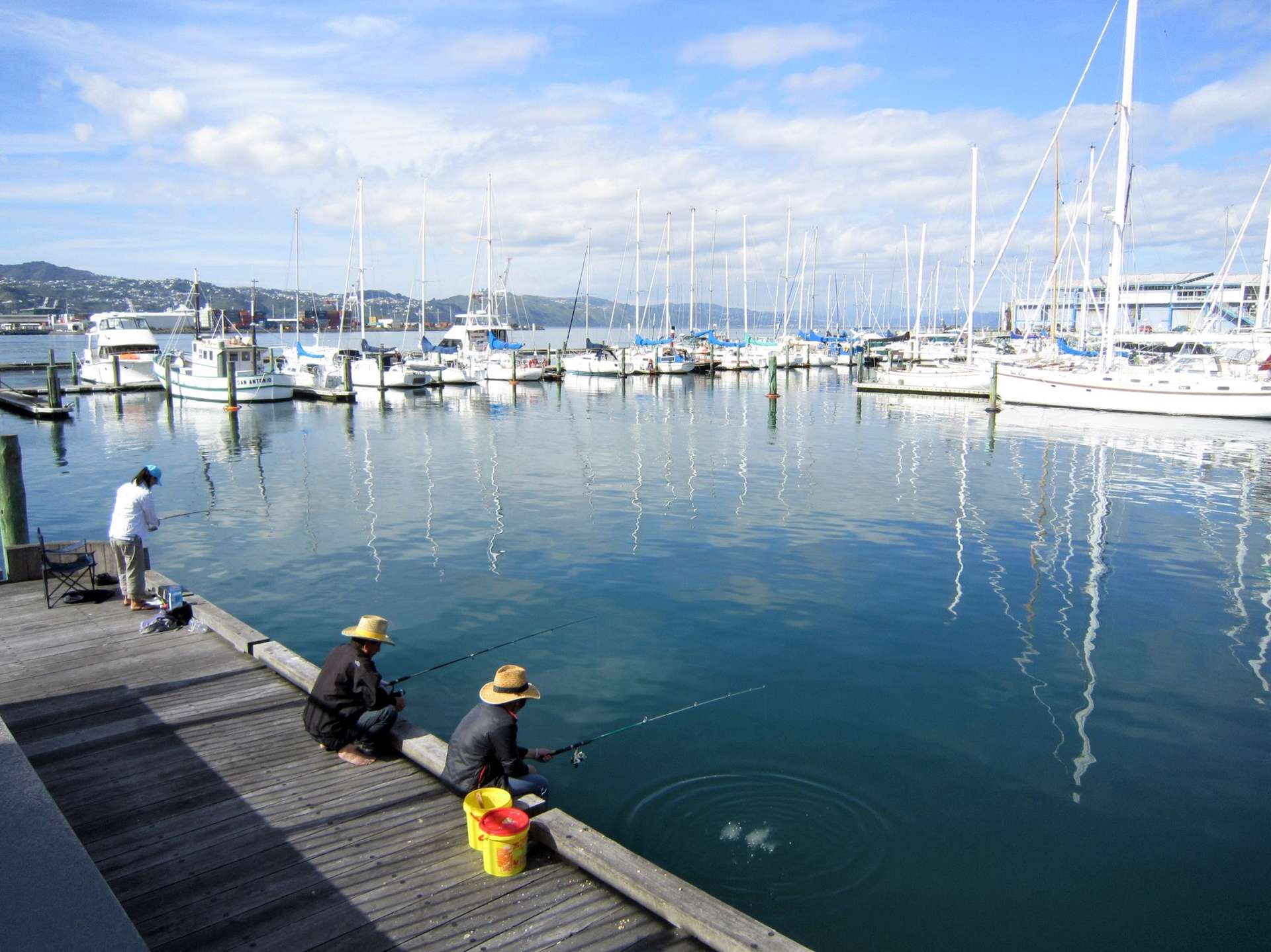 du lịch wellington