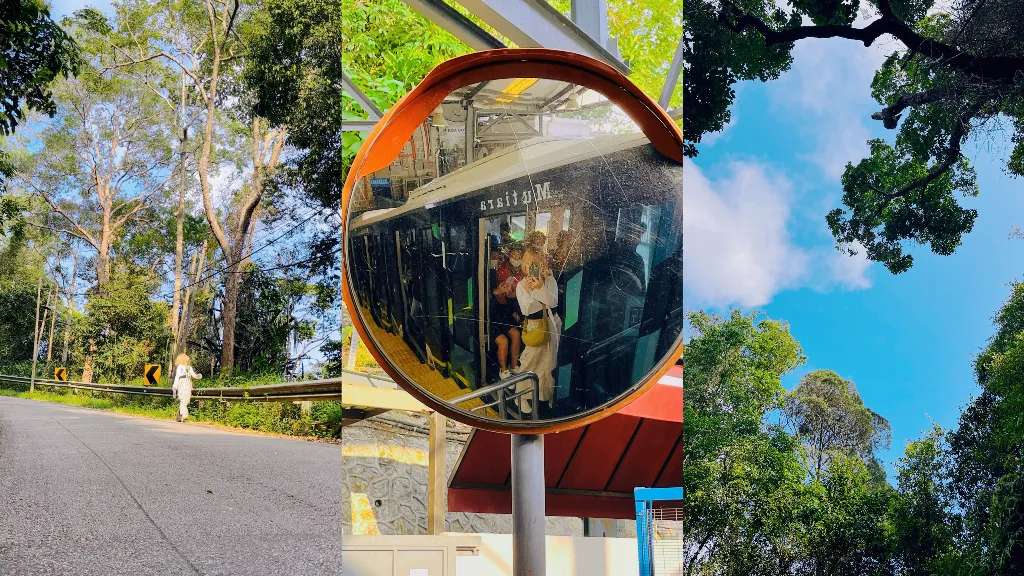 Đi tàu và khám phá những con đường ven đồi Penang Hill trong buổi sáng 