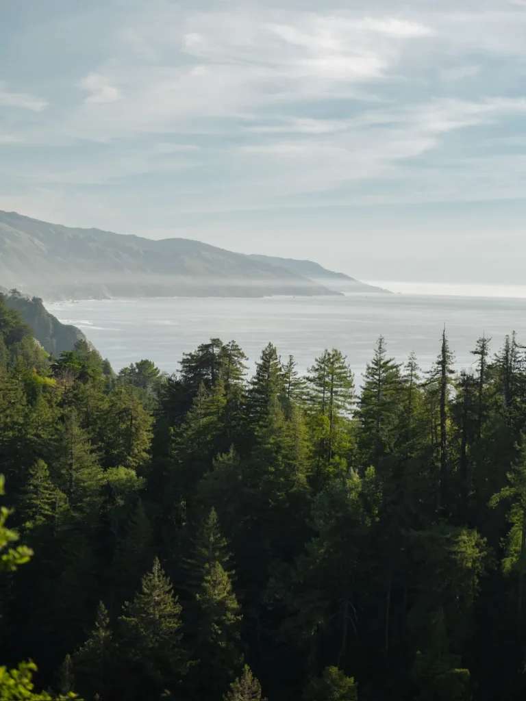 Thiên nhiên yên bình buổi sớm ở Big Sur.