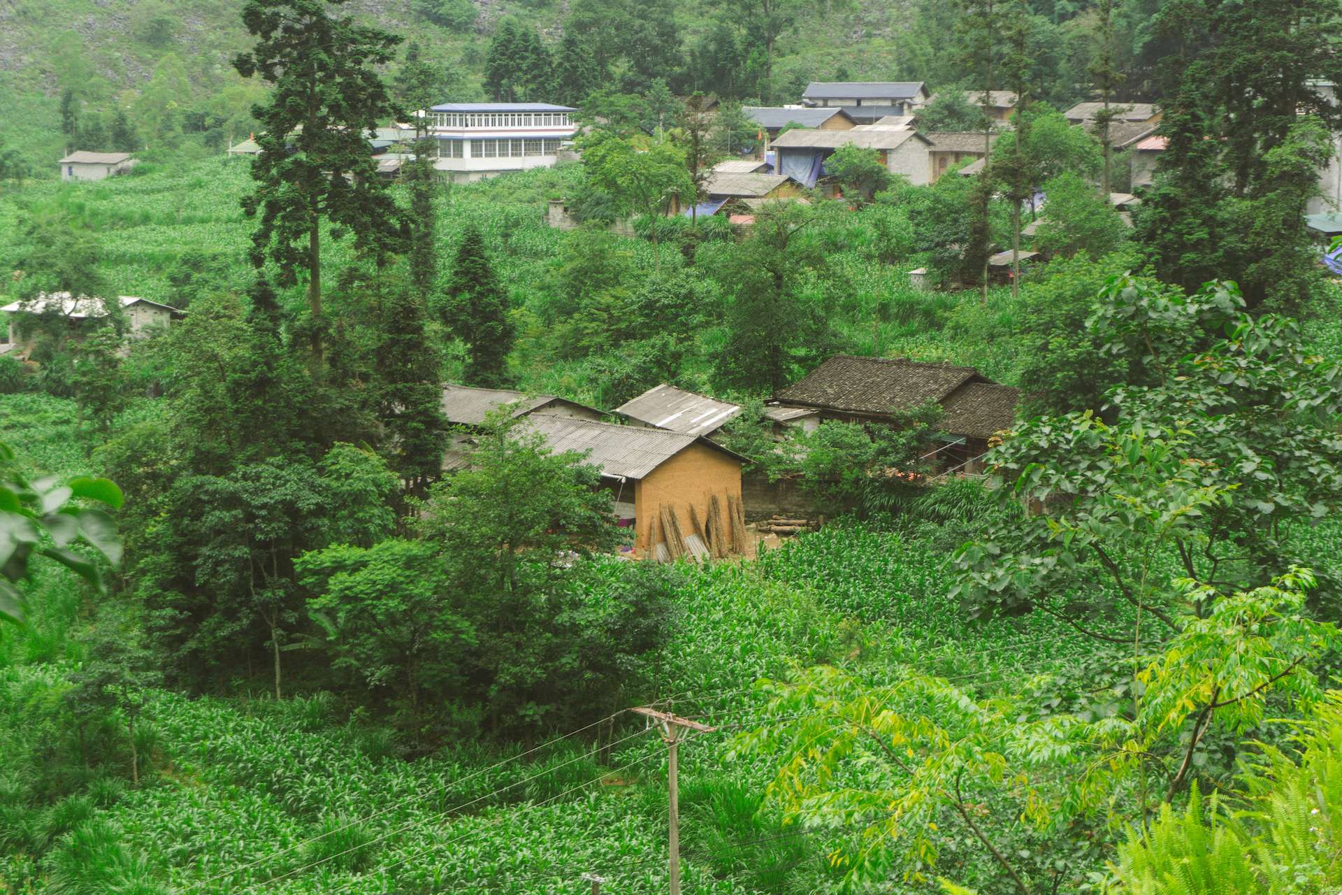 Hà Giang mùa hè