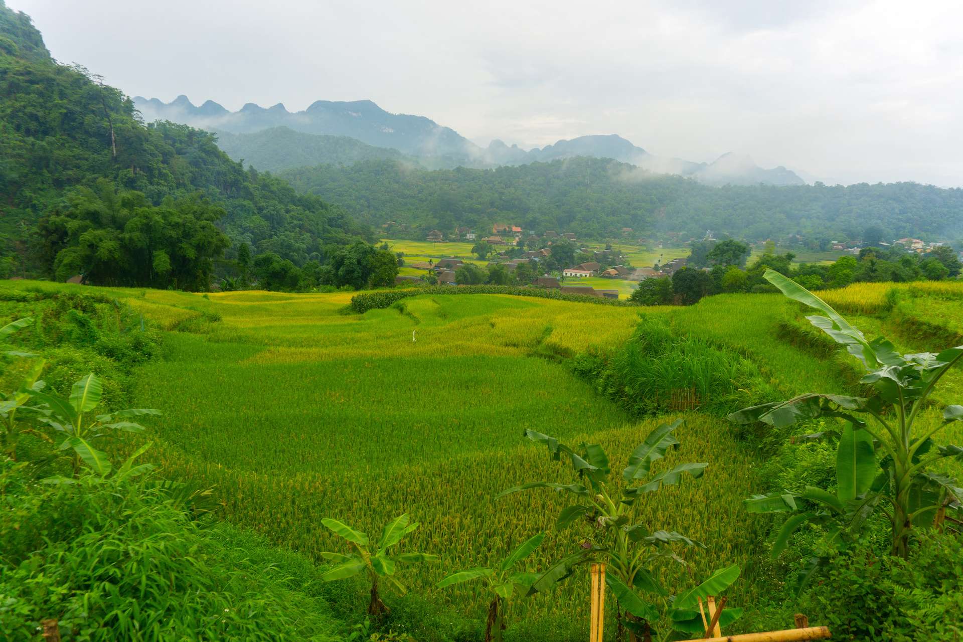 Hà Giang mùa hè