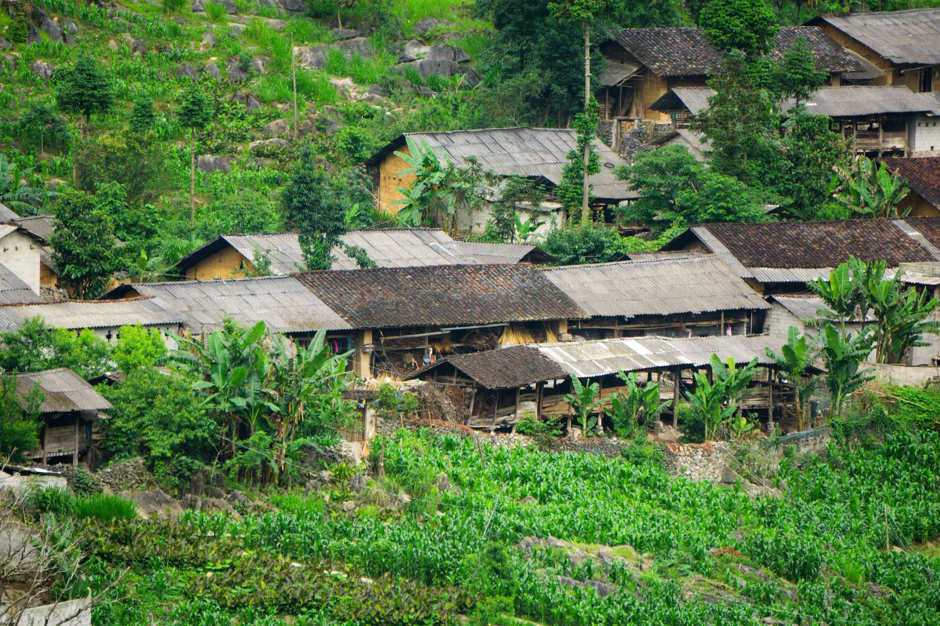 Hà Giang mùa hè