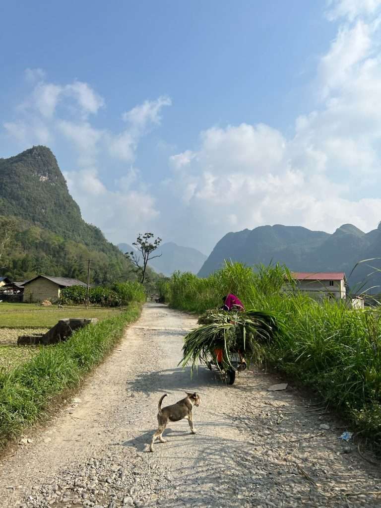 Hà Giang mùa tam giác mạch