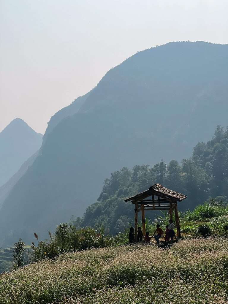 Hà Giang mùa tam giác mạch